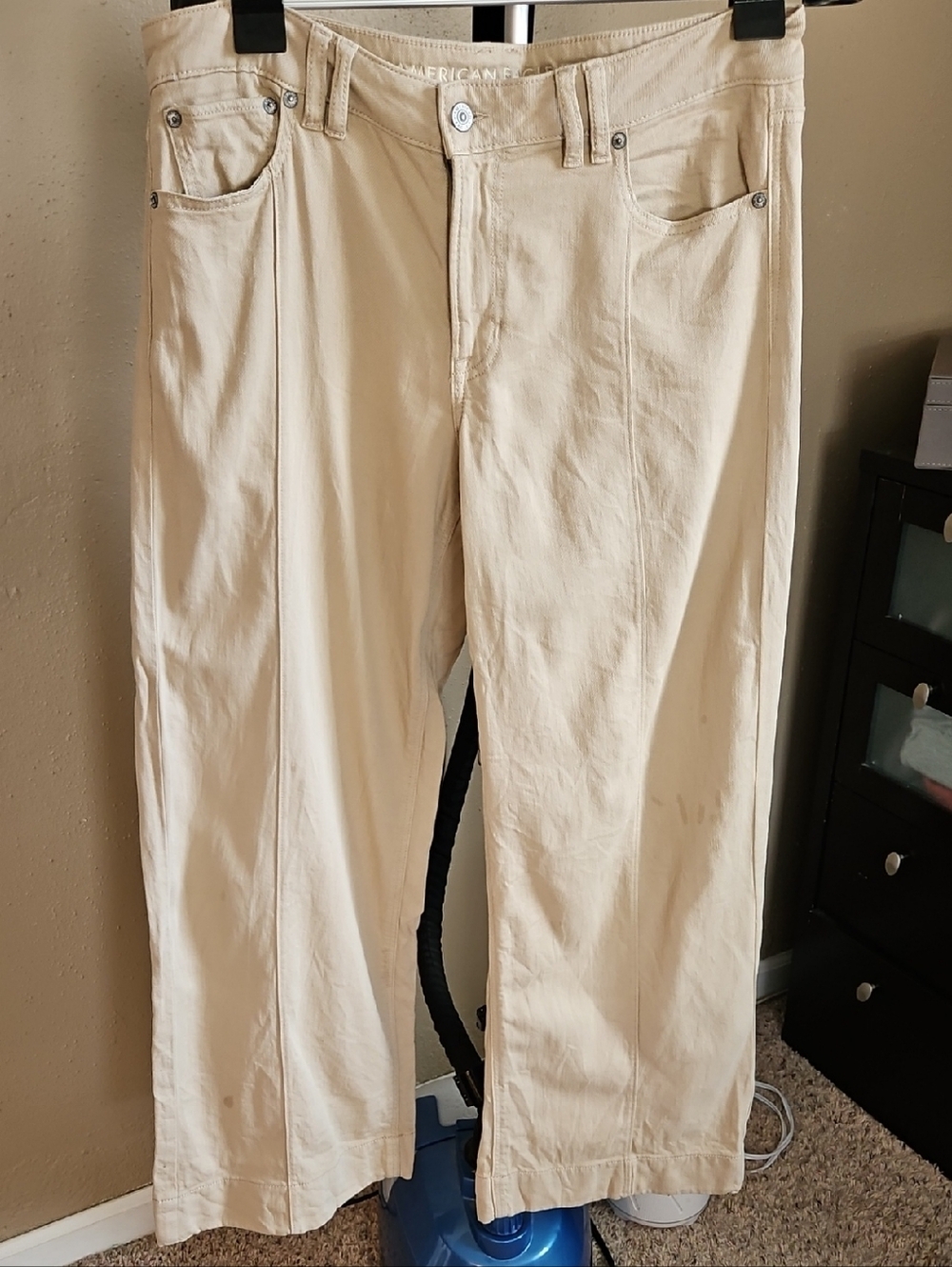 American Eagle Outfitters Tan Wide-Leg Pants